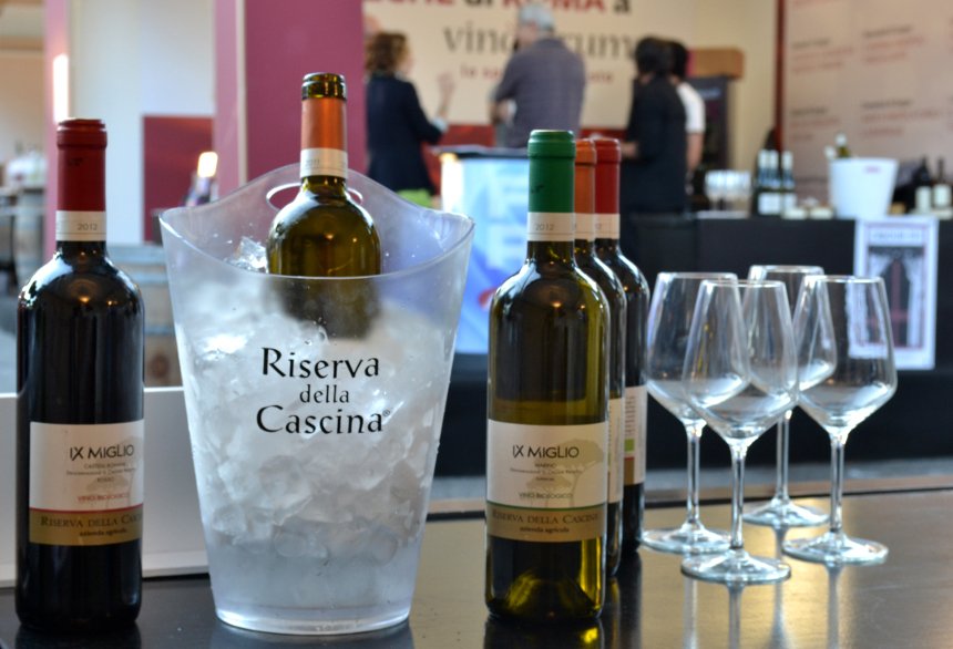 Vinoforum2013
